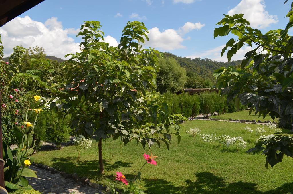 Chateau Bruale Tkhilistskaro Exteriér fotografie