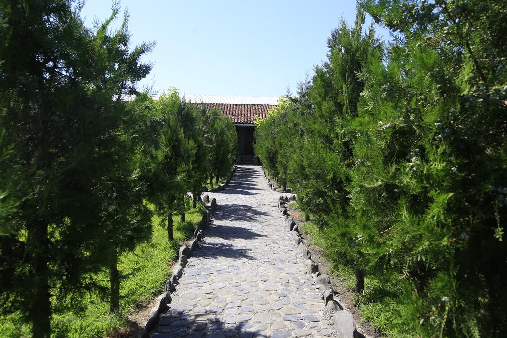 Chateau Bruale Tkhilistskaro Exteriér fotografie